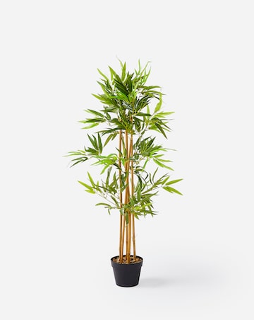 Indoor/Outdoor Bamboo Plant 1.2m