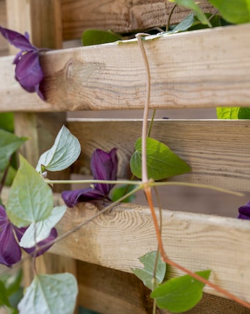 Forest Living Screen Garden Planter