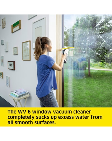 Karcher WV6 Plus Window Vacuum Cleaner