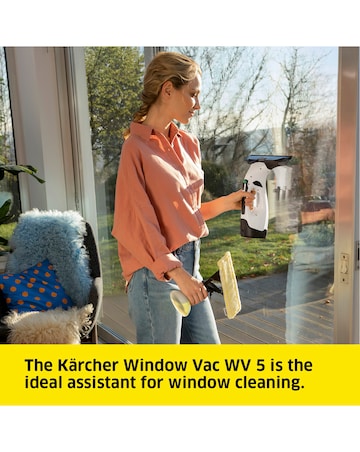 Karcher WV5 Plus Window Vacuum Cleaner