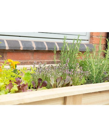 Forest Large Kitchen Garden Planter - 1.8m