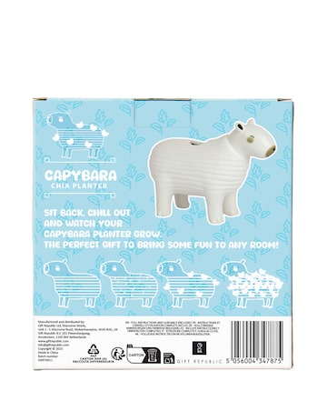 Capybara Chia Planter