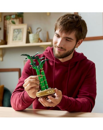LEGO Botanicals Lucky Bamboo Indoor Plant Decor, Gift for Nature Lovers 10344