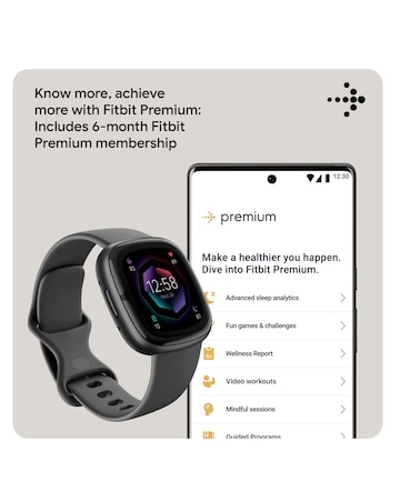 Fitbit Sense 2 Smart Watch - Shadow Grey