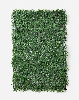 Boxwood Screening Panel 60x40cm