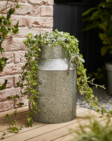 Ivyline Galvanised Milk Churn H42cm