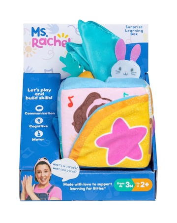 Ms. Rachel Suprise Learning Box