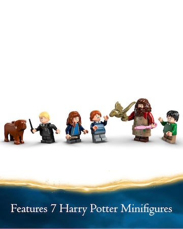 LEGO Harry Potter Hagrid's Hut: An Unexpected Visit 76428