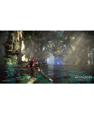 Horizon Forbidden West (PS5)