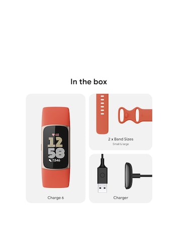 Fitbit Charge 6 Smart Watch Coral / Champagne Gold