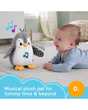 Fisher-Price Flap & Wobble Penguin