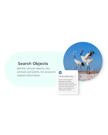 Honor X6c 128GB - Emerald Green