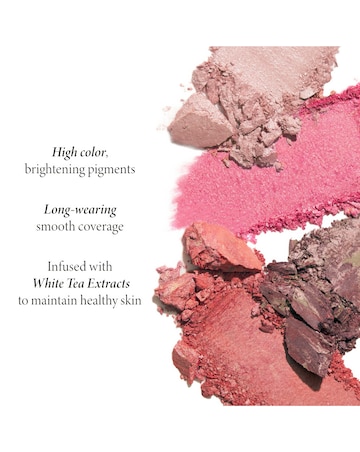 Laura Geller Baked Blush-n-Brighten Marbleized Blush - Tropic Hues