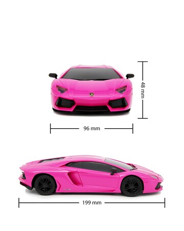 CMJ 1:24 Scale Lamborghini Aventador Pink RC Car
