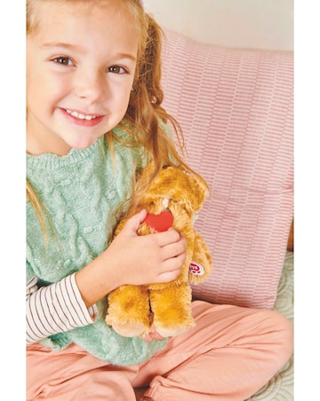 Toy Build-a-Bear Workshop Furtastic Bear and Outfit Pack - Rainbow
