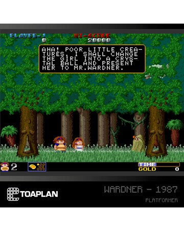 Toaplan Arcade Collection (Blaze Evercade)