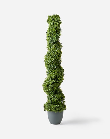 Topiary Twirl 120cm
