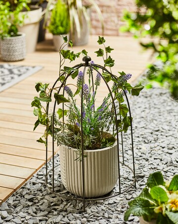 Ivyline Outdoor Plant Support Zinc H60cm W36cm