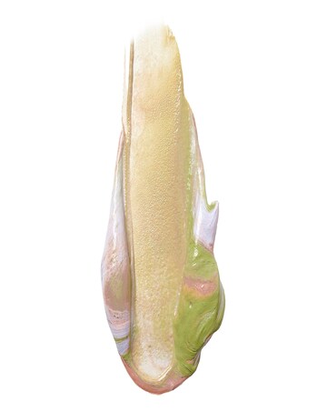 Stila One Step Correct - Kitten