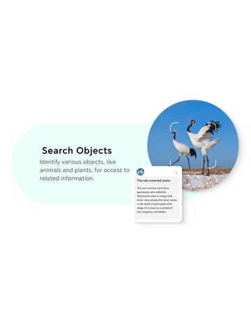 Honor X6c 128GB - Midnight Black