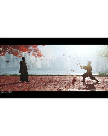 Ghost of Tsushima Director's Cut (PS5)