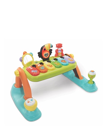 VTech 5-in-1 Toucan Tunes Play Gym