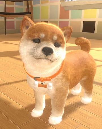 Little Friends: Dogs & Cats (Nintendo Switch)