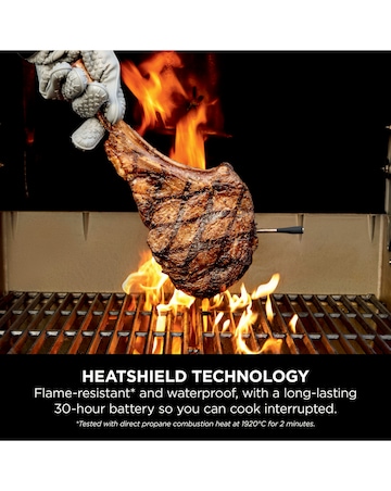 Ninja WP100EU Wireless Thermometer (Indoor and Outdoor)