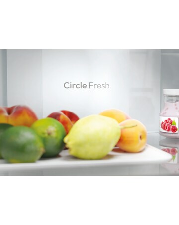 HOOVER HONCQ2T618EBK 60 x 185cm Refrigerator (Black)