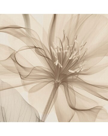 Superfresco Easy Arlington Parchment Wallpaper