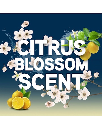 Vax 4Litre Platinum Anti-bacterial Carpet Cleaning Solution