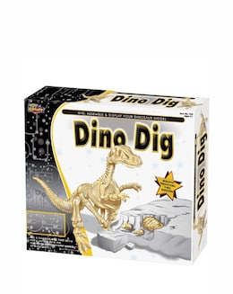 Dino Dig Excavation and Model Kit