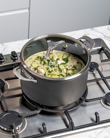 Ninja Foodi ZEROSTICK 26cm Stock Pot with Lid