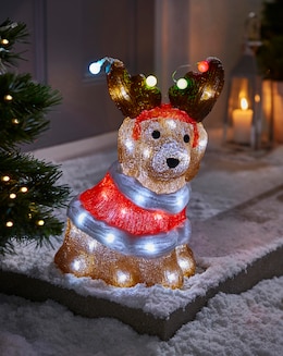 Charlie the Cockapoo Light