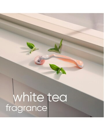 Venus Breeze Spa Blades 8 Pack