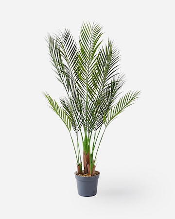 Indoor/Outdoor Palm Tree 1.2m