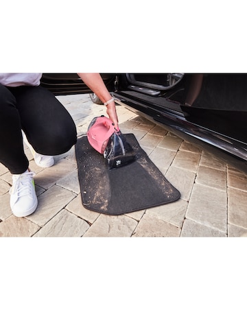 Swan TV's Queen of Clean Handheld Carpet Cleaner