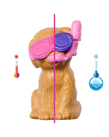Barbie Puppy Pool Party Playset