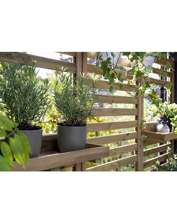 Forest Slatted Wall Planter 2 Shelf