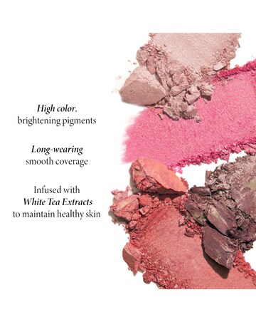 Laura Geller Baked Blush-n-Brighten Marbleized Blush - Sunlit Rose