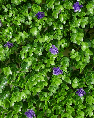 Violet Bloom Screening Panel 60 x 40 cm