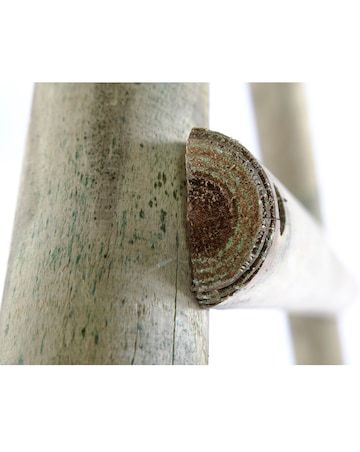 Plum Spider Monkey 2 Wooden Garden Swing