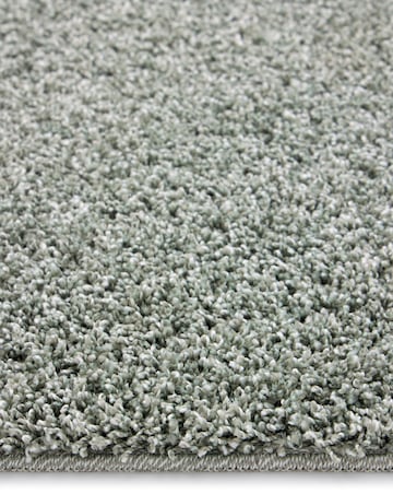 Buddy Fleck Washable & Stain Resistant Rug