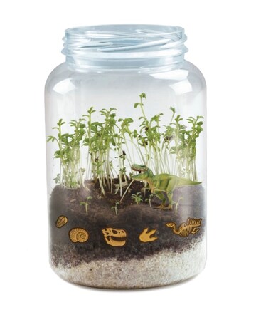Science4you Dinosaur Terrarium