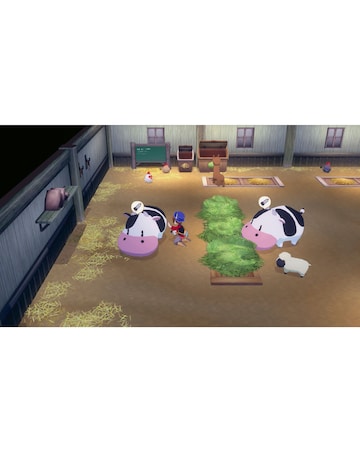 Story of Seasons: Grand Bazaar (Nintendo Switch 2)