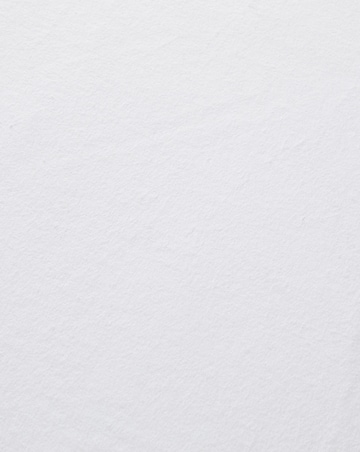 Downland Cotton Soft Waterproof Pillow Protector