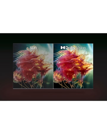 TCL 55In 55PF650K LED 4K HDR PRO Smart Fire TV with Freely