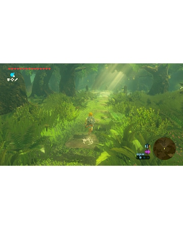 The Legend of Zelda: Breath of the Wild (Nintendo Switch 2)