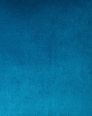 Velvet Printed Hummingbird Cushion