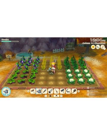 Story of Seasons: Grand Bazaar (Nintendo Switch 2)